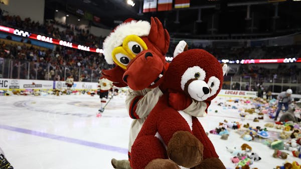 Wintertainment &amp; Teddy Bear Toss